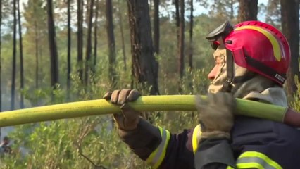 Incendie sur la Côte d'Azur: des conditions météo "favorables" donnent espoir aux pompiers