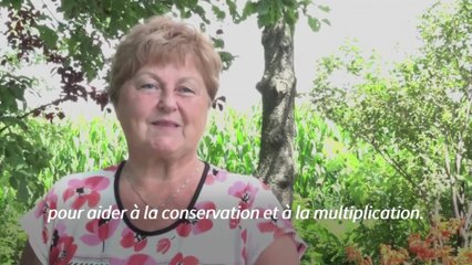 L'UICN dévoile sa "Liste rouge", baromètre de l'état de santé du vivant