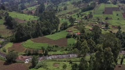 Au Kenya, les pêcheurs à la mouche veulent ouvrir les portes de leur "paradis"