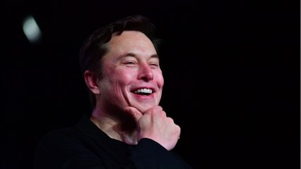 GALA VIDÉO - Affaire Amber Heard : Elon Musk Propose À Johnny Depp Un « Combat En Cage " (1)