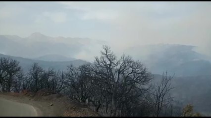Sept morts lors d'incendies dans le nord de l'Algérie