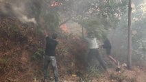Algérie: pompiers, militaires et civils en lutte contre la course folle d'incendies meurtriers