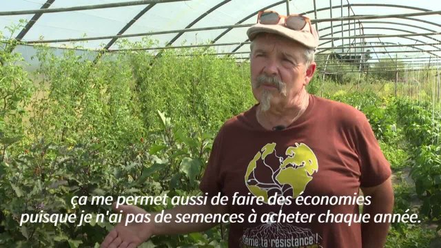 Les semences paysannes, un enjeu clé pour l'agriculture biologique