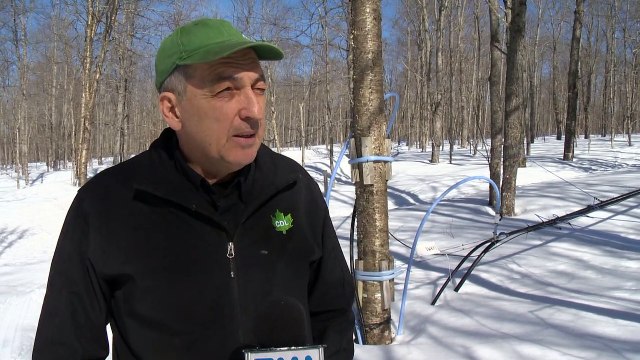 05 avril TOPO ND temps de sucre sirop erable