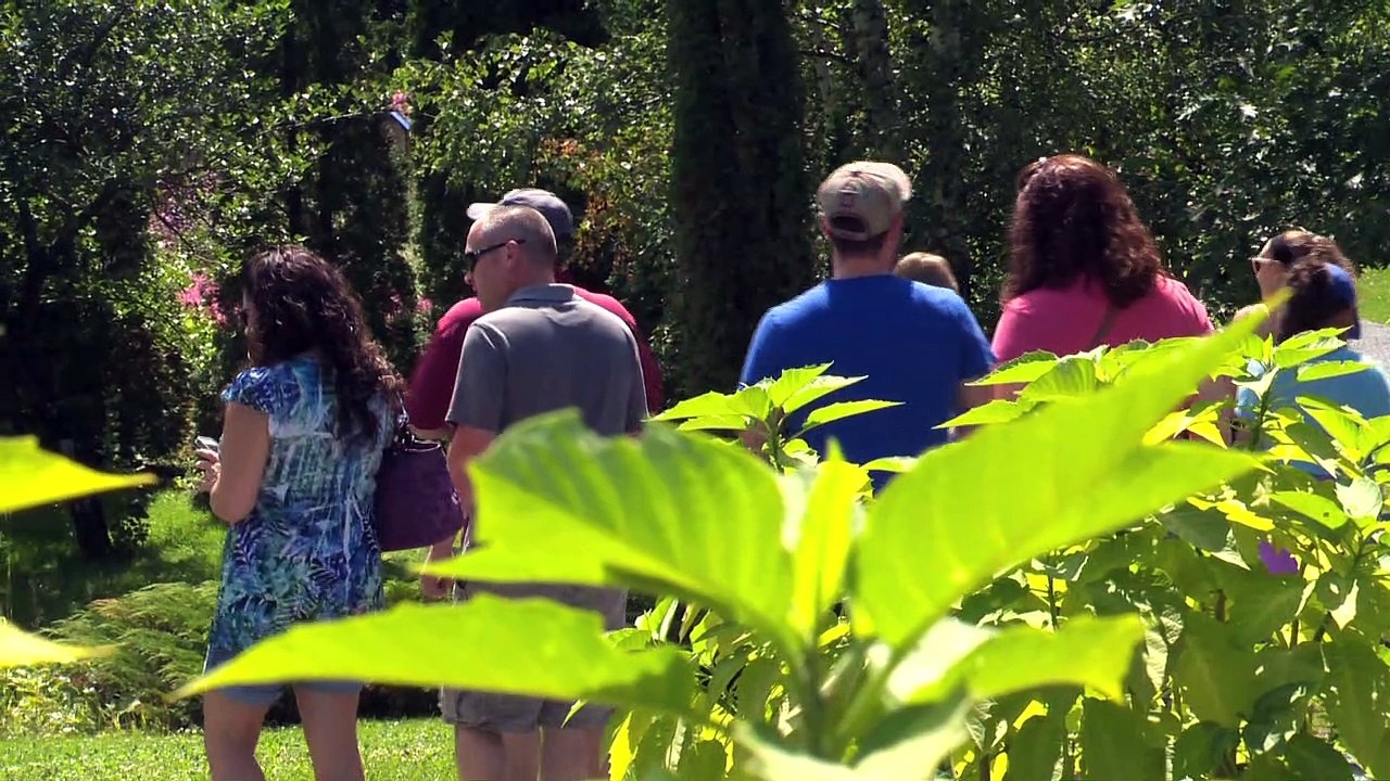 Une stratégie pour relancer l'industrie touristique du Nouveau-Brunswick