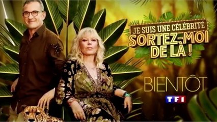VOICI - Je suis une célébrité, sortez-moi de là : pour quelles associations jouent les candidats ?