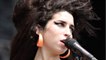 Amy Winehouse : Tous Ses Looks Coiffure (2)