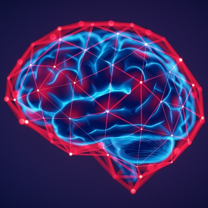 CAM - Quelles sont les principales caractéristiques de l'intelligence émotionnelle ?