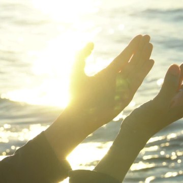 CAM - Quelle est la différence entre halal et casher ?