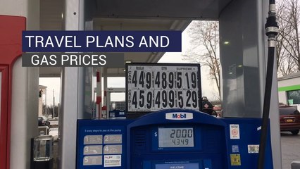 Travel Plans and Gas Prices