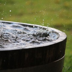 CAM - Peut-on boire l'eau de pluie ?