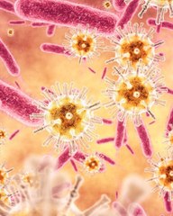 CAM - Quelle est la différence entre un virus et une bactérie ?