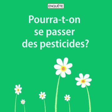 Teaser CAM novembre Green