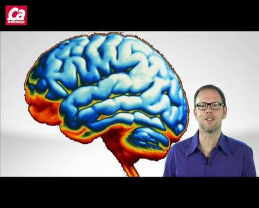 Why do we yawn ?
