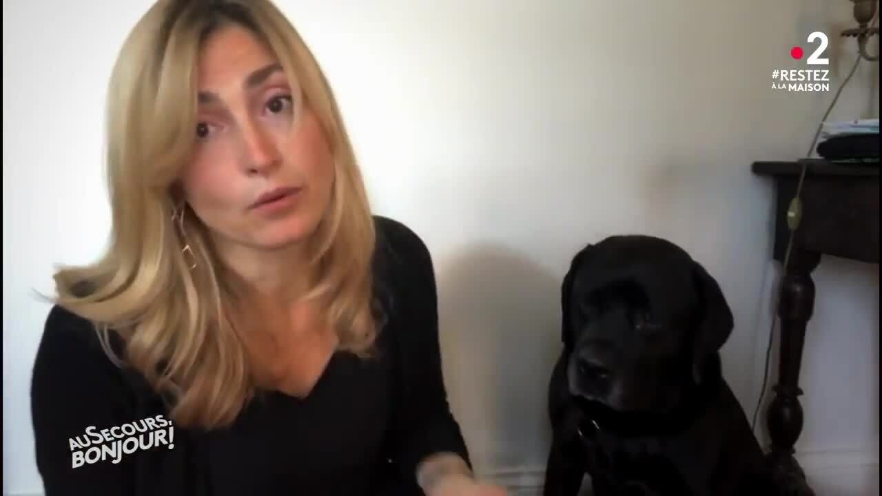 VOICI - Julie Gayet avec le chien de François Hollande