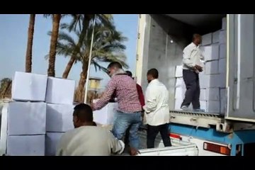 حياة كريمة بالأقصر.. توزيع 4 آلاف كرتونة رمضان على الأسر الأولى بالرعاية بإسنا