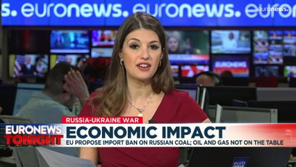 As EU introduces fifth round of sanctions, experts say Russian gas 'most important to cut off'