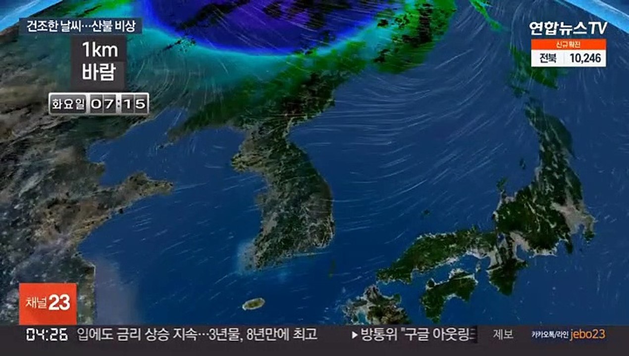 "2차 위기 올 수도"…건조특보 속 산불 위험 급증