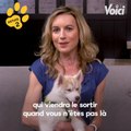 VOICI - Tous à Poils - 3 astuces pour empêcher mon chien d'aboyer