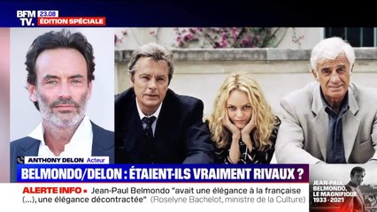 VOICI  - "Il y a toujours une rivalité entre deux alter ego" : Anthony Delon évoque la relation entre son père et Jean-Paul BelmondoUntitled