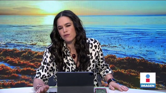 Sargazo invade las playas de Quintana Roo