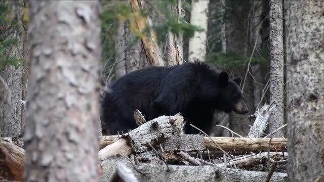 Venez donner de votre temps lors des journées du patrimoine naturel