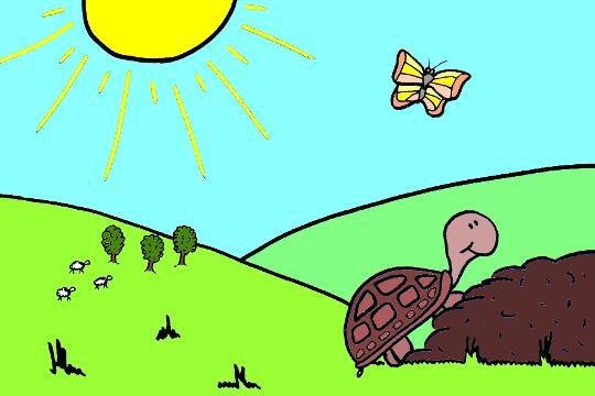 La véritable histoire des tortues d'Hermann