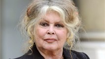 FEMME ACTUELLE - Affaire Elisa Pilarski : comment Brigitte Bardot veut sauver le chien Curtis