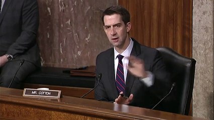 April 5, 2022: Senator Cotton Q&A During Senate Armed Services Committee Hearing