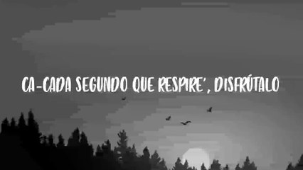 RUMBATÓN  - Daddy Yankee (Letra_Lyrics)