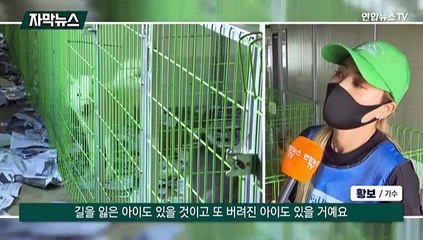 [자막뉴스] 유기 동물 연간 20만 마리…주인 찾기 나선 봉사 단체