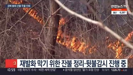 경북 봉화 산불 주불 진화…잔불 정리 중