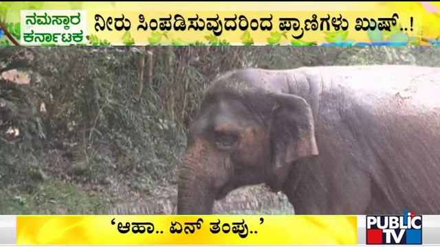 Sprinklers Installed In Mysuru Zoo To Cool Animals In Blistering Summer Heat