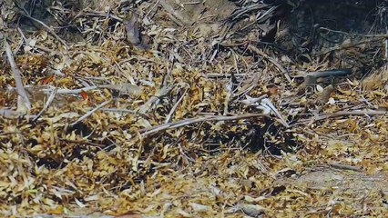 Greenough River comes back to life | April 2022 | Farm Weekly