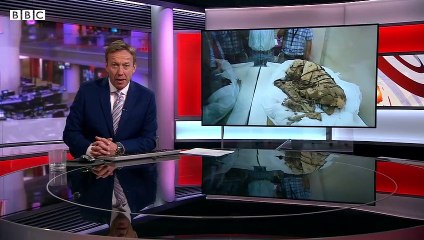 Ancient mummy unearthed in Peru