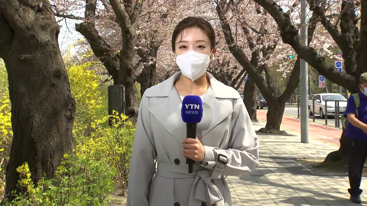 [날씨] 오늘 '한식', 맑고 포근...건조특보 속 산불 주의 / YTN
