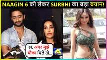 Surbhi Jyoti REACTS On Entering Naagin 6, Shaheer Talks About His New Song