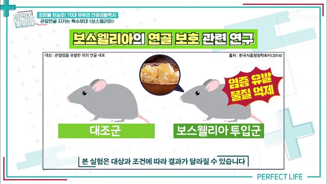 관절+연골+통증까지 관절 건강 한방에 지켜주는 꿀TIP✌ TV CHOSUN 20220406 방송