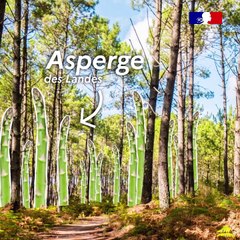 Panier de saison du mois d'avril