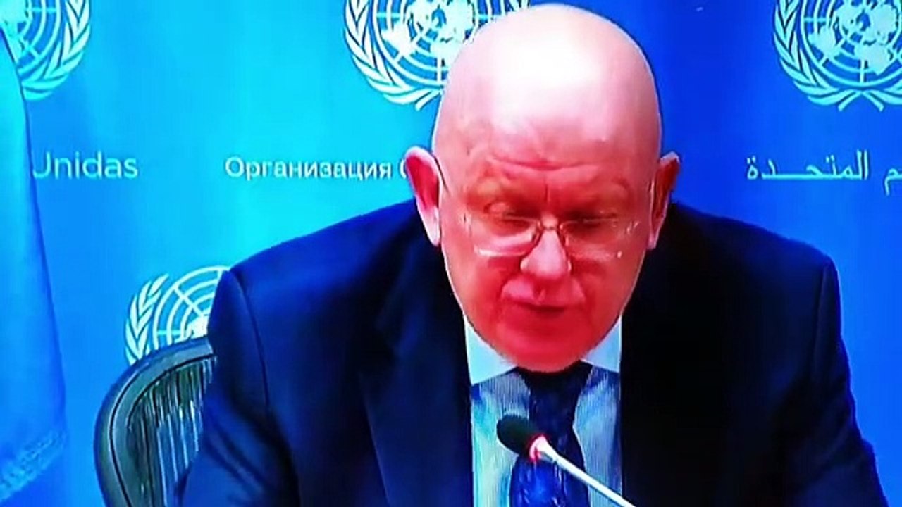 Embaixador russo na ONU comete gafe e compromet...