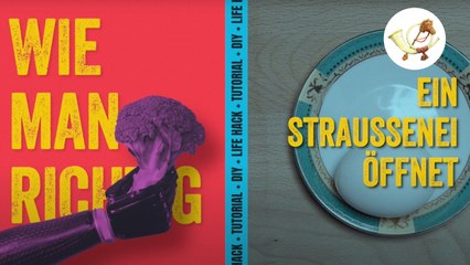 Tutorial: Wie man ein Straußenei korrekt öffnet