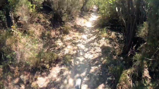 42C01684-5E1E-43BE-8688-97672228CFAB