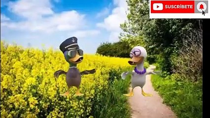 ❤️ Te Quiero y Te Adoro  #SanValentin   La Granja de Zenón