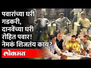 EDच्या धाडी,त्यात Sharad Pawarयांच्या घरी राऊतांसोबत Gadkari, दानवेंच्या घरी Rohit Pawar,काय शिजतंय?