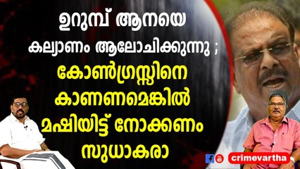 ഉറുമ്പ് ആനയെ കല്യാണം ആലോചിക്കുന്നു ; കോൺഗ്രസ്സിനെ കാണണമെങ്കിൽ മഷിയിട്ട് നോക്കണം സുധാകരാ