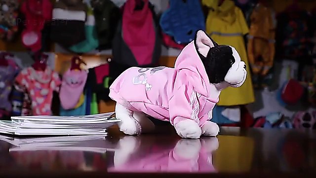 2021 Winter Pet Dog Clothes Dogs Hoodies Fleece Warm Sweatshirt Small Medium Large Dogs Jacket Clothing Pet Costume Dogs Clot