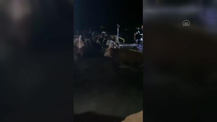 Karların erimesi nedeniyle 10 ev ve bazı ahırları su bastı