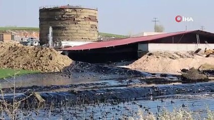 Buğday tarlaları zift altında kaldı