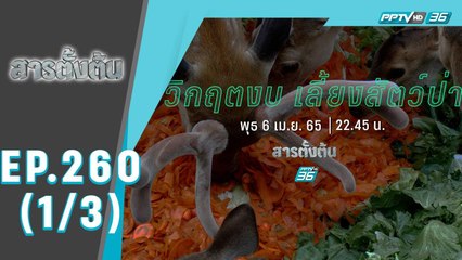 สารตั้งต้น ตอน “วิกฤตงบเลี้ยงสัตว์ป่า” (1/3)