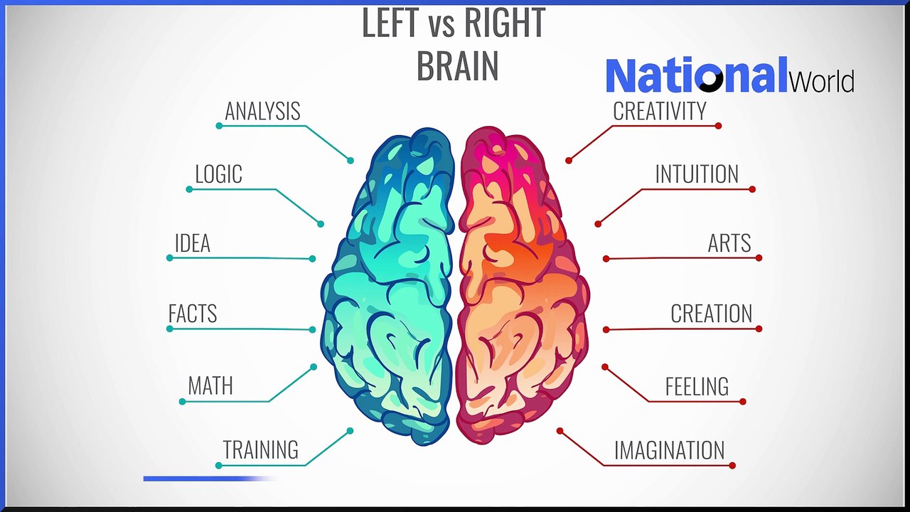 Optical illusions: what are optical illusions and what do they reveal about how our brains work?